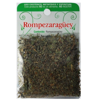 Erva Rompezaragüey – Limpeza e Proteção Espiritual
